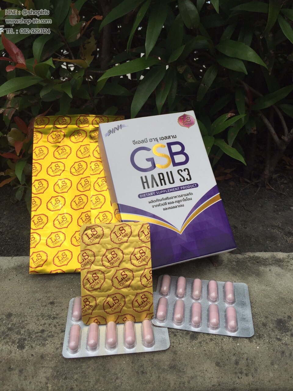 จีเอสบี ฮารุ เอสสาม GSB Haru S3