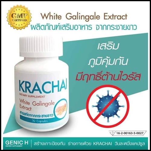 Krachai White Galingale ผลิตภัณฑ์อาหารเสริม จากกระชายขาว