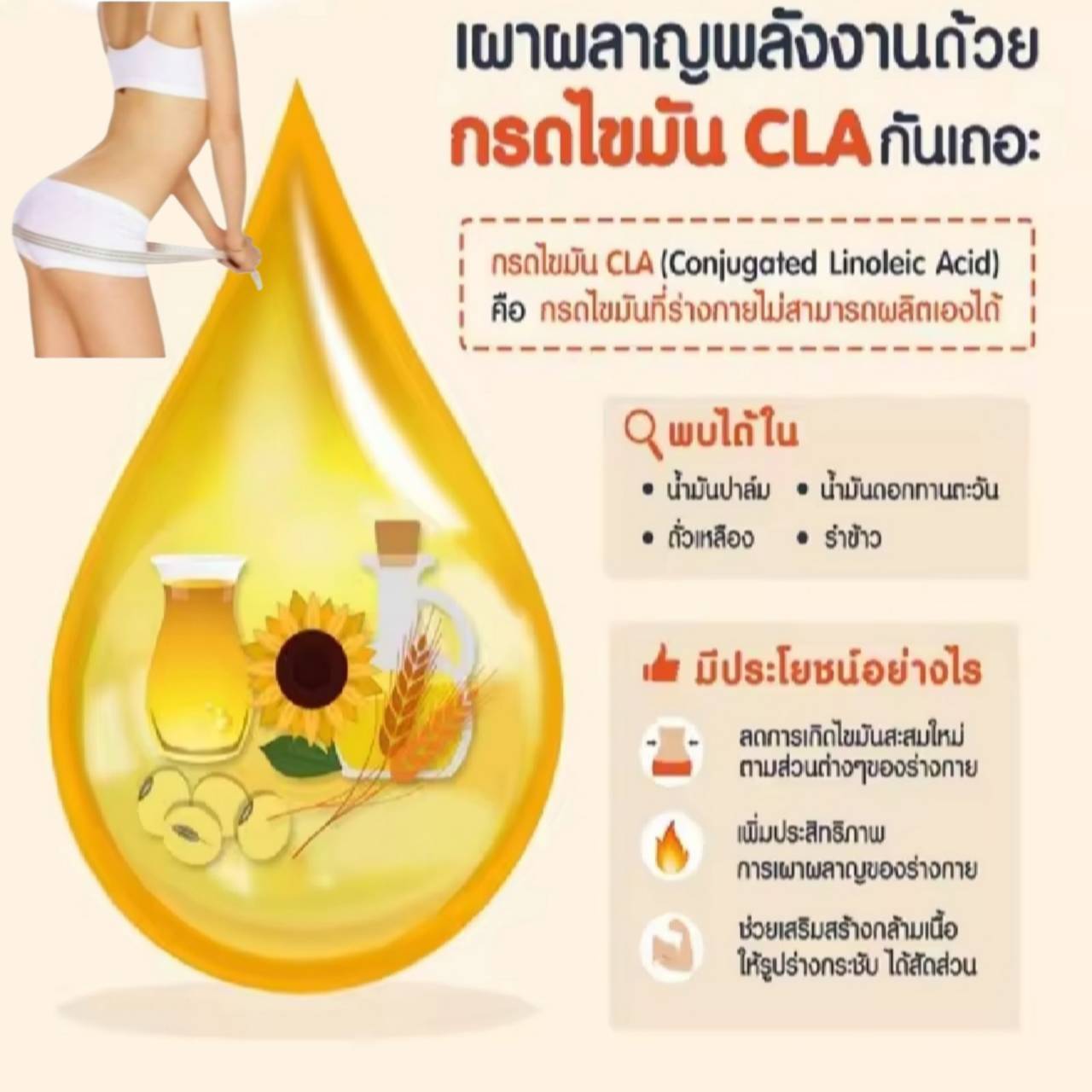 ผลิตภัณฑ์จากน้ำมันดอกคำฝอย ตรา กิฟฟารีน CLA900