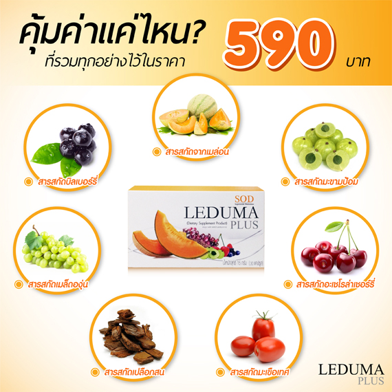 เอสโอดี เลอดูม่า พลัส (Leduma Plus แบบ SOD)