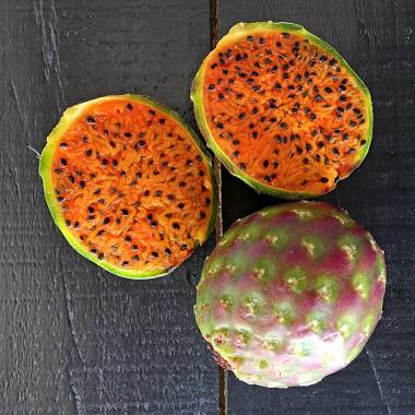 แก้วมังกรเม็กซิโก - Mexican Pitaya (Stenocereus queretaroensis)