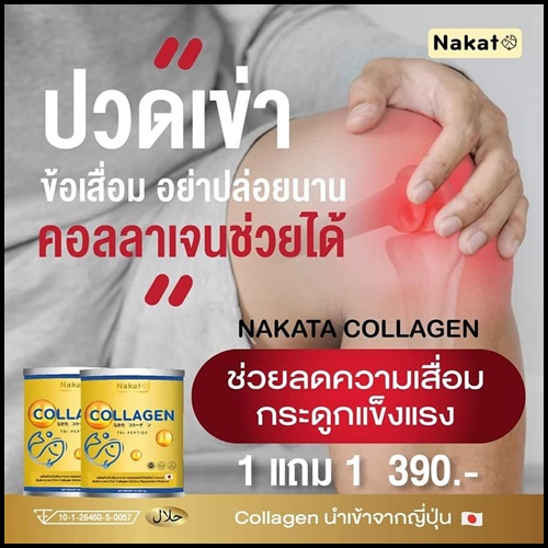 คอลลาเจนเพียว Nakata Collagen นาคาตะคอลลาเจน ( 1แถม1 )