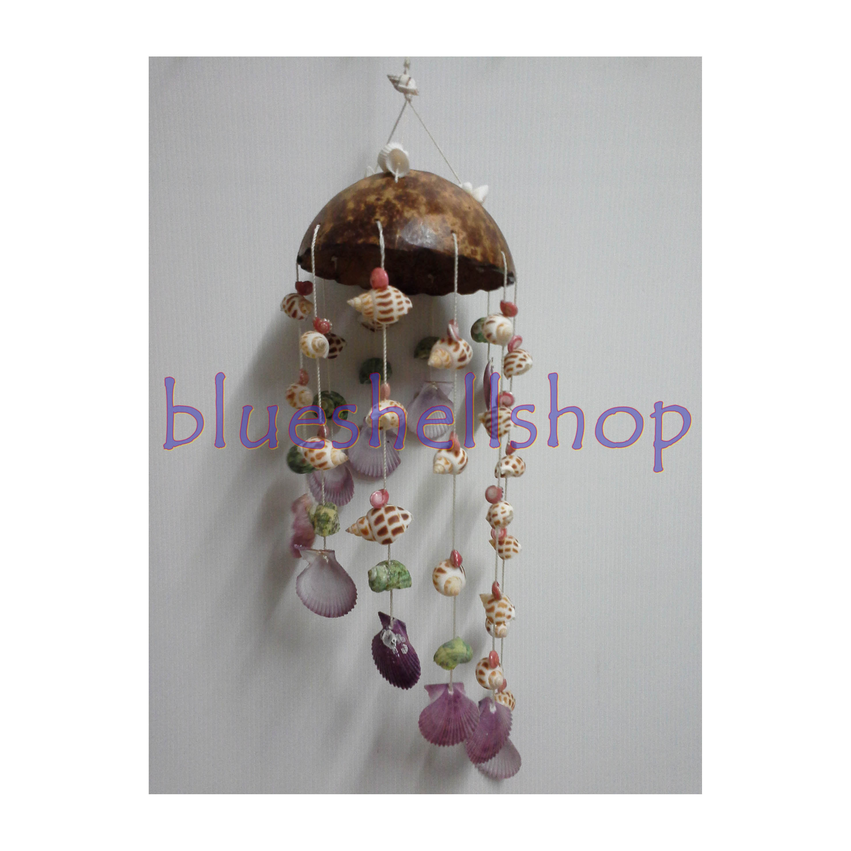 งานกะลาหอยเวียน