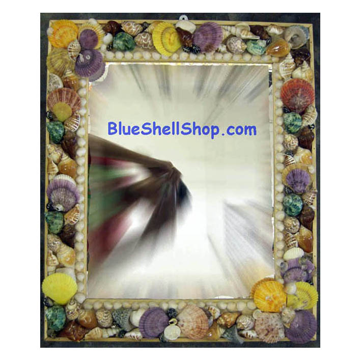 กระจกหอยไซต์1