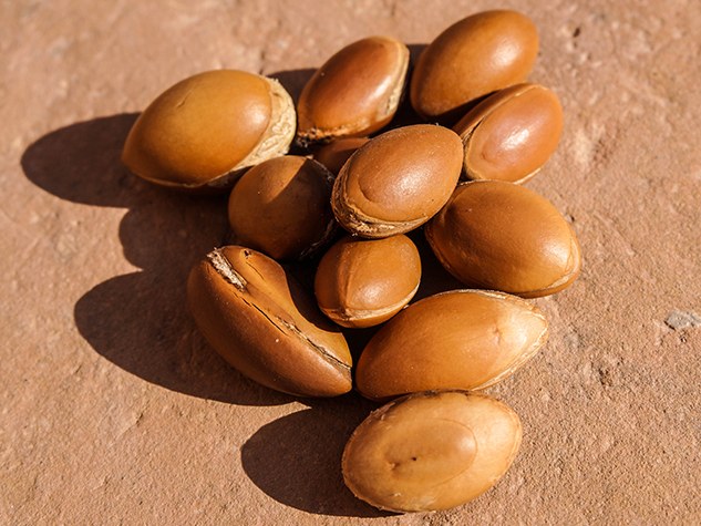 อาร์กัน - Argan