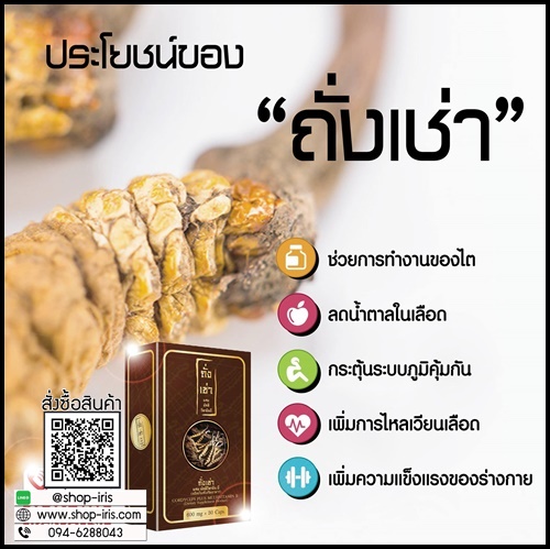 ถั่งเช่า ผสมมัลติวิตามินบี ถั่งเช่ายิ่งยง ของแท้