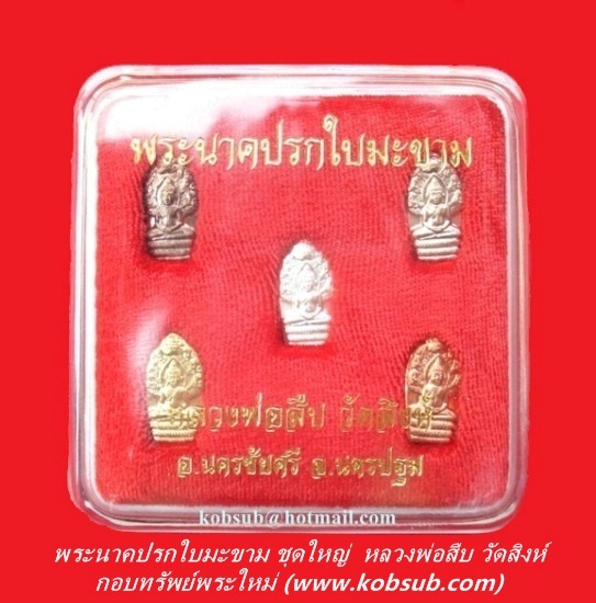 พระนาคปรกใบมะขาม ชุดใหญ่ หลวงพ่อสืบ วัดสิงห์