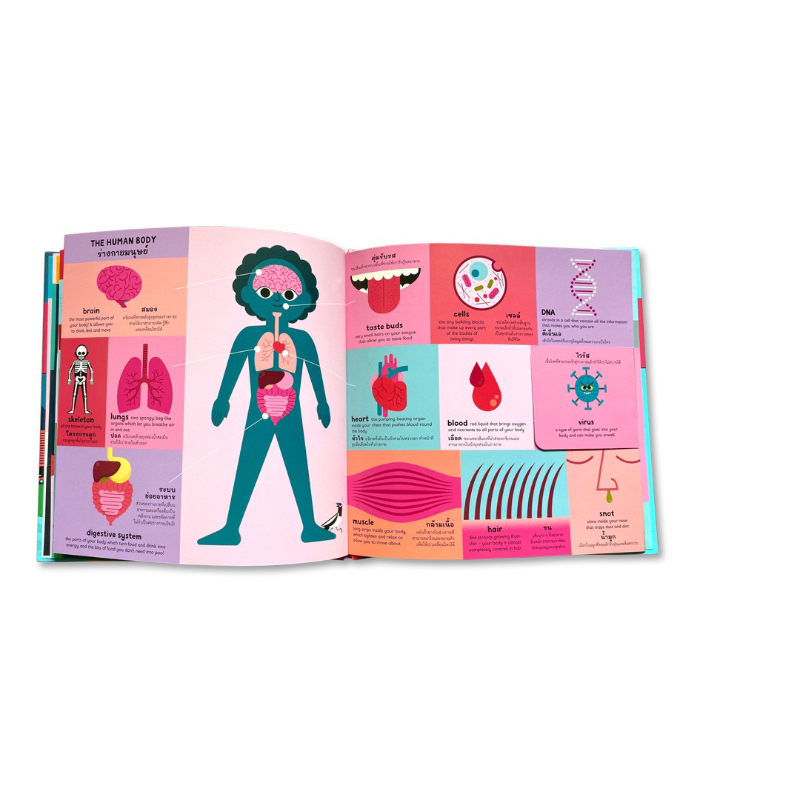 My First Book of Everything เล่มแรกของหนูเรียนรู้ทุกสิ่ง(ปกแข็ง/flap book) พจนานุกรมภาพ 2 ภาษา 4 ปีขึ้นไป