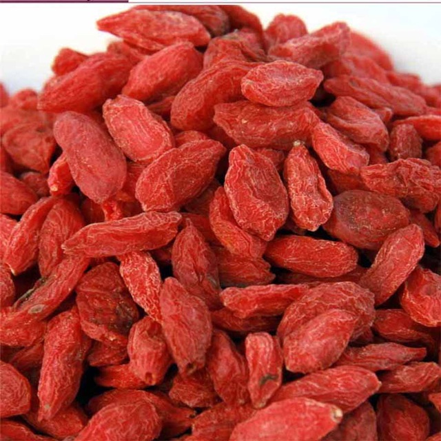 โกจิเบอร์รี่ (พันธุ์หนิงเซี่ยผลดก) - Goji berry