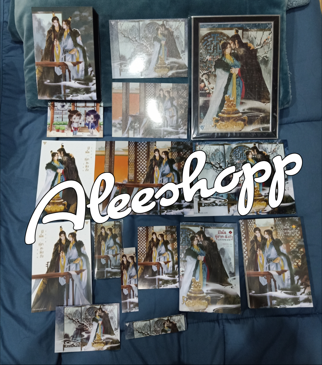 Boxset นิยายแปล ปีนั้นที่ข้าคนคงหา รอบจอง + สแตนดี้