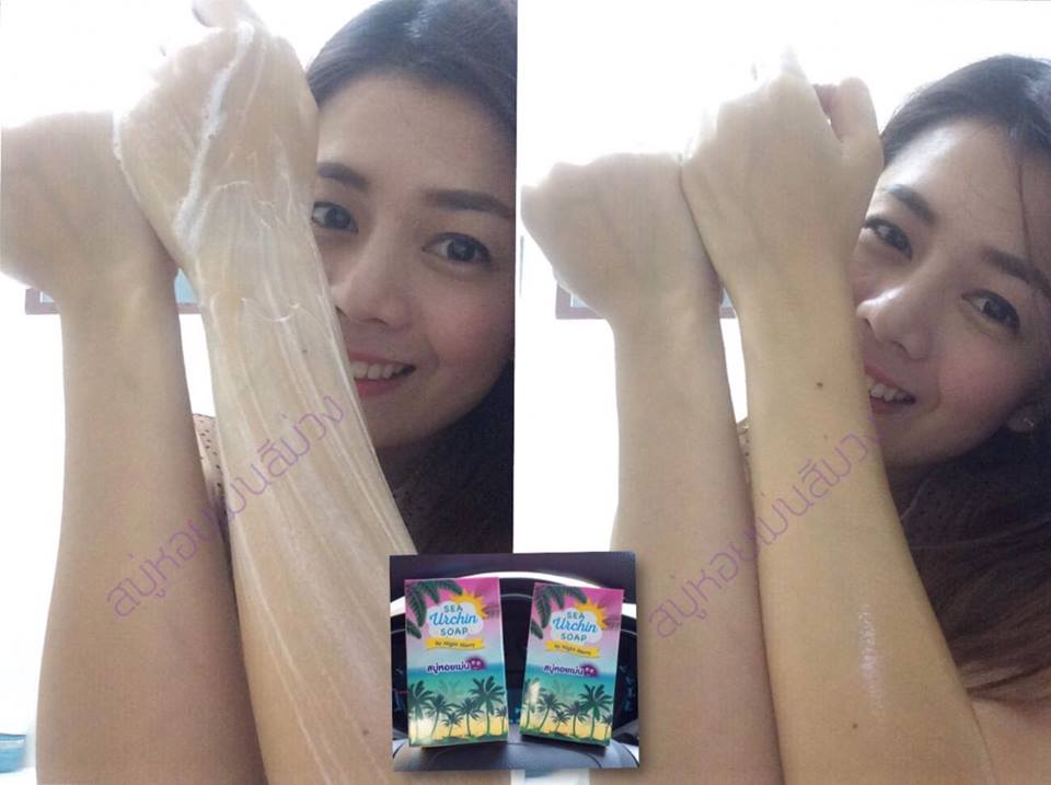 สบู่หอยเม่น (Sea Urchin Soap By Night Merry)