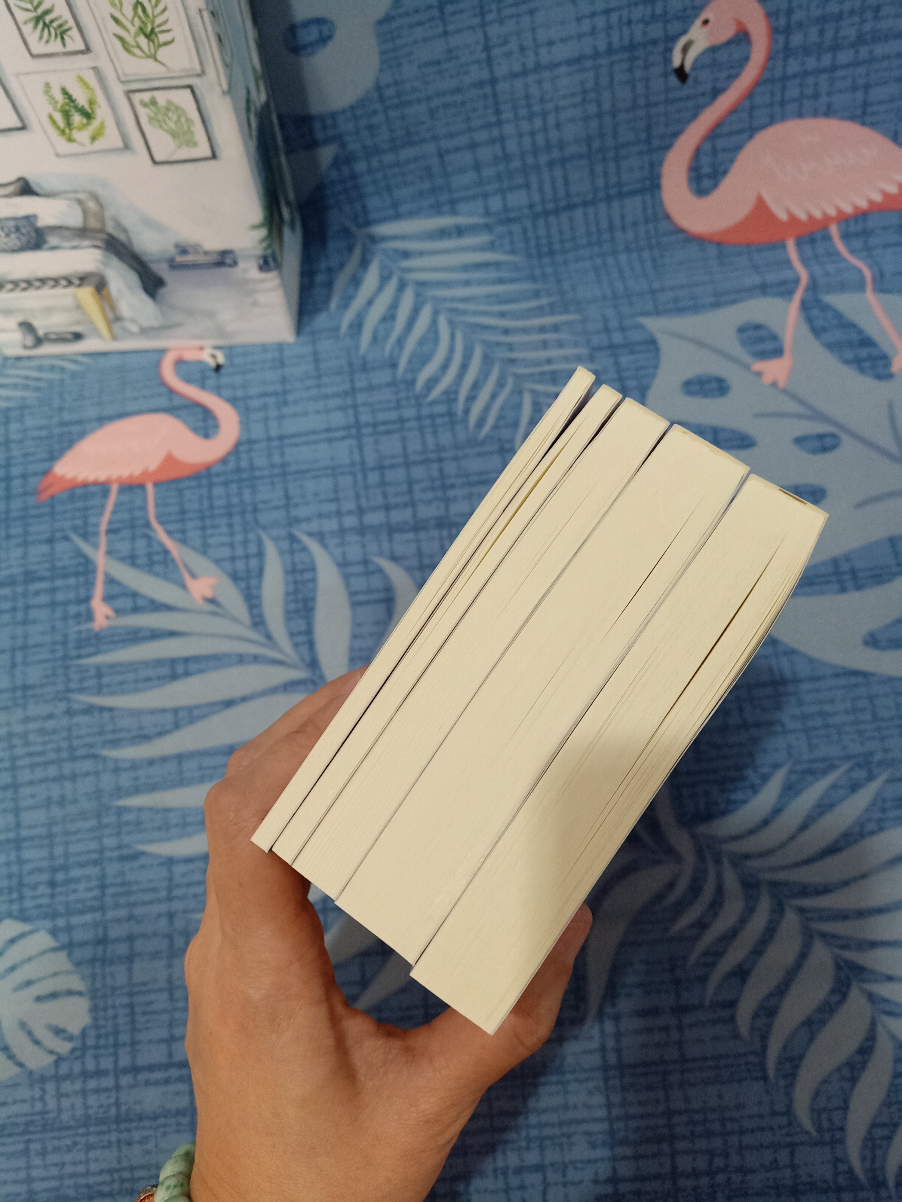 Boxset นิยายแต่ง เพราะรักจึงเปลี่ยนได้ + เรื่องของผมกับสิทธิ รอบจอง