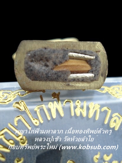 พญาไก่ฟ้ามหาลาภ ตัวครู เนื้อทองทิพย์ หลวงปู่เช้า วัดห้วยลำใย