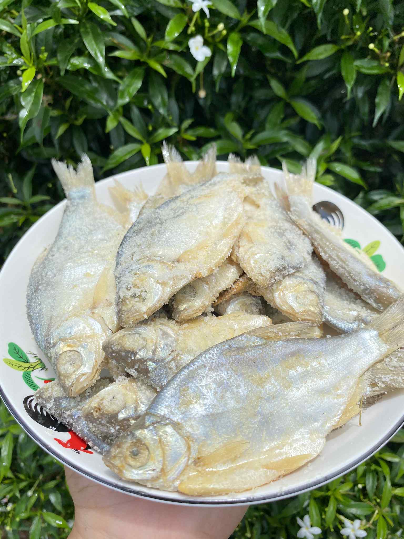 ปลาหมักเกลือ ปลาเน่า น้ำหนัก 500 กรัม ပႃႇၸႃႇ - ပႃႇၸႃႇၶမ်းၵႅတ်းသေ ปลาหมักสูตรไทยใหญ่ Fermented Fish - Burmese Style Pickled Fish ปลาเน่า ปลาเน่าเกเซ นำไปประกอบอาหารได้หลากหลายชนิด รับประกันความอร่อย