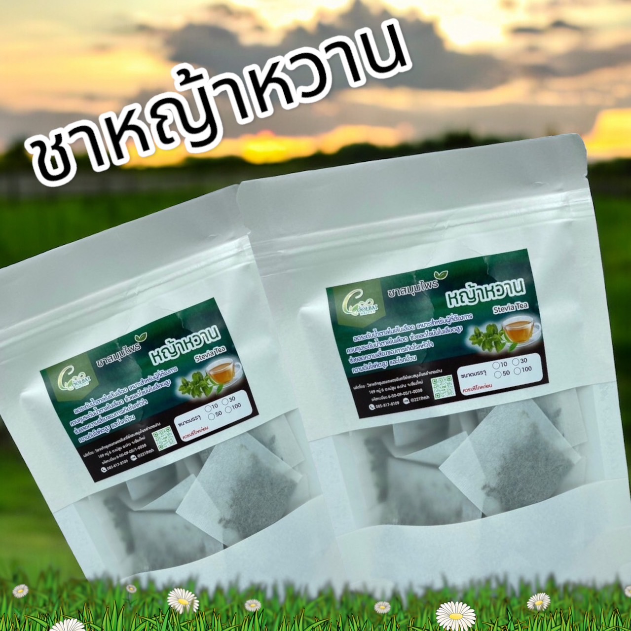 ชาหญ้าหวาน ขนาด 15 ซองชา Stevia tea (สตีเวีย) ใบหญ้าหวานมีความหวานมากกว่าน้ำตาลถึง 10-15 เท่า แต่เป็นความหวานที่ไม่ก่อให้เกิดพลังงาน Controls Diabetes, Regulates Blood Pressure