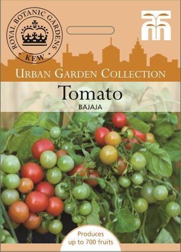 มะเขือเทศบาจาจา - Bajaja Tomato