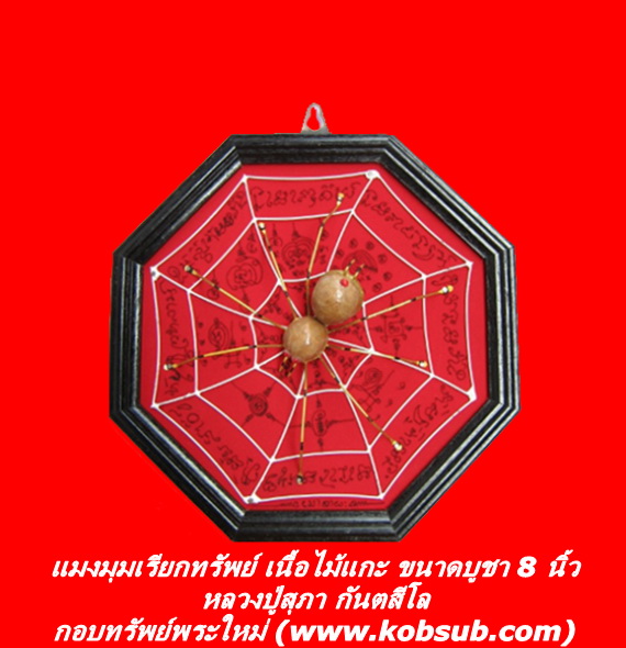 แมงมุมเรียกทรัพย์ เนื้อไม้แกะ ขนาดบูชา 8 นิ้ว หลวงปู่สุภา กันตสีโล