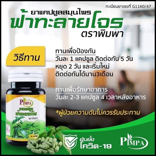 ฟ้าทะลายโจร ตรา พิมพา