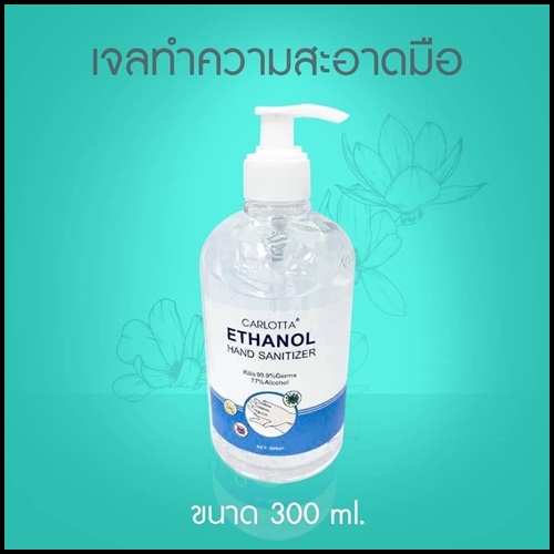 Carlotta Ethanol Hand Sanitizer แอลกอฮอล์ล้างมือ