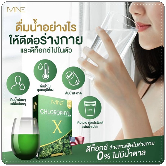 คลอโรฟิลล์ เอ็กซ์ CHLOROPHYLL X คลอโรฟิลล์มายมิ้น