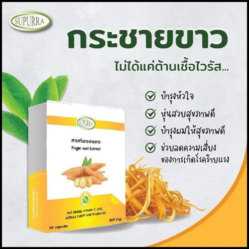 สารสกัดกระชายขาว Supurra