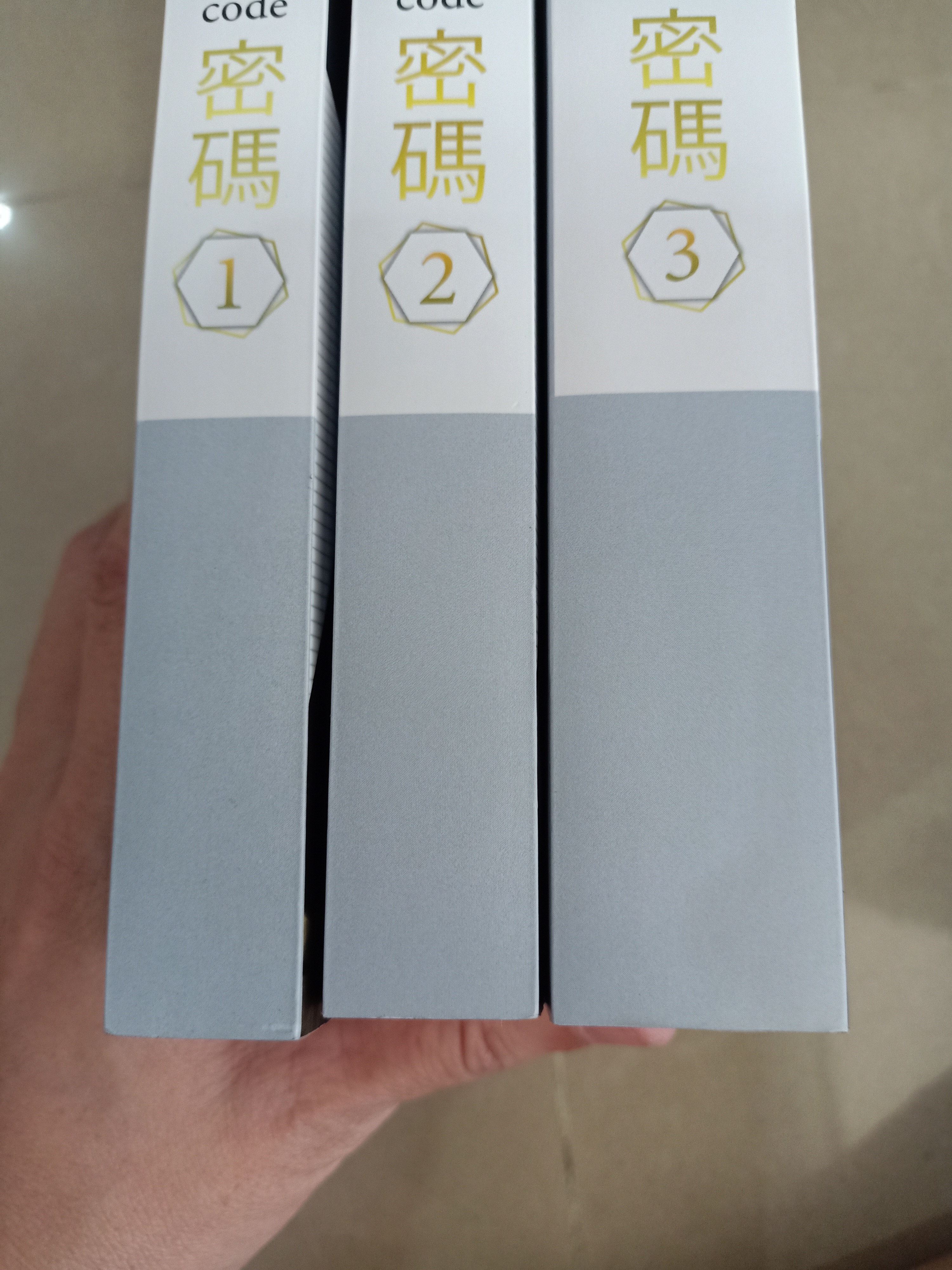 นิยายแปล โปรแกรมลับรีเทิร์นรัก 3 เล่มจบ