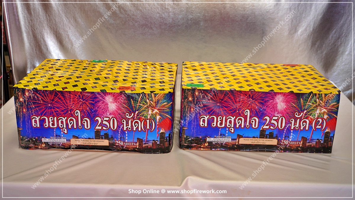 Wholeheartedly beautiful firework Set 250 shots