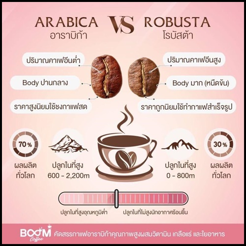 กาแฟบูม Boom Coffee ลดหุ่นปลอดภัย หุ่นสวยด้วยกาแฟ