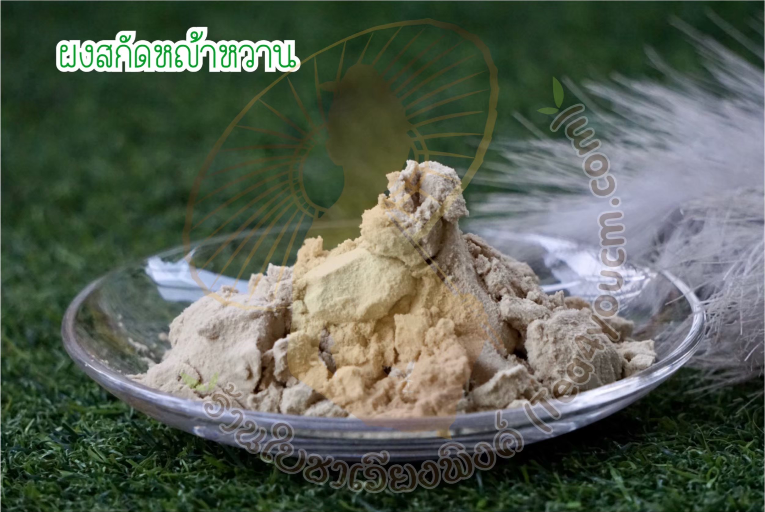 ผงหญ้าหวานสกัด Spray Dry ขนาด 100 กรัม ผงหญ้าหวานสกัด 100% ไม่มีกาก ละลายได้ในน้ำอุ่นและน้ำเย็น ไม่มีตะกอนตกค้าง สารให้ความหวานแทนน้ำตาล ผงหญ้าหวานเหมาะสำหรับทำเครื่องดื่ม และเบเกอรี่ ดื่มได้ ไม่ใส่นม ไม่มีน้ำตาล Pure Dried Stevia Powder For Beverages and