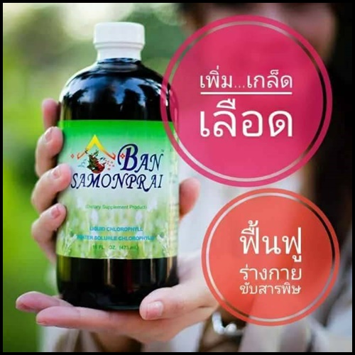 คลอโรฟิลล์ บ้านสมุนไพรชัยมงคล Cholophyll Bansamonprai