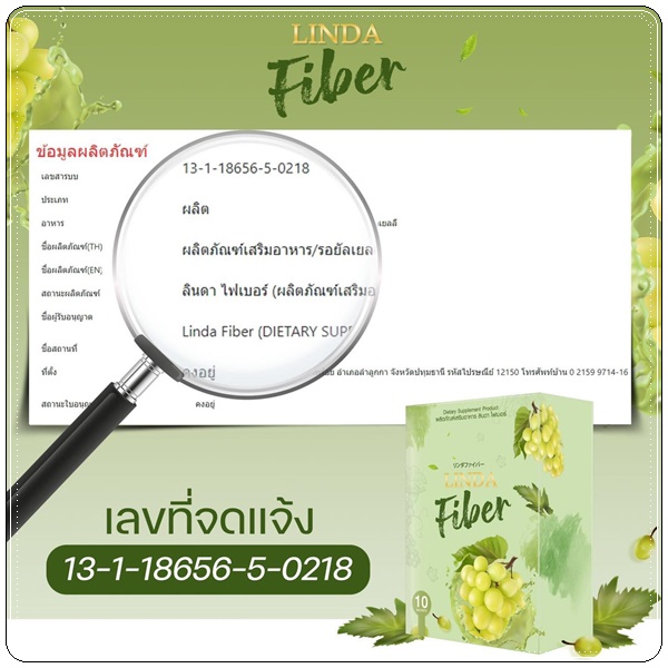 ลินดา ไฟเบอร์ Linda Fiber