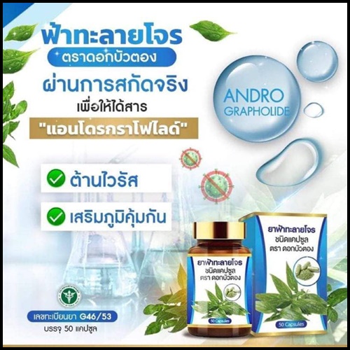 ฟ้าทะลายโจร ตราดอกบัวตอง