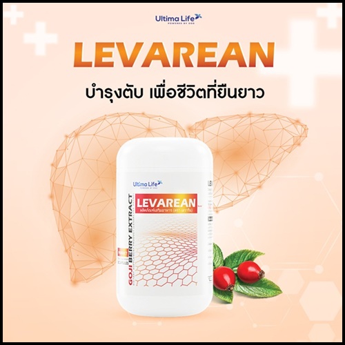 LEVAREAN By Ultima Life เลวารีน ตัวช่วยบำรุงตับ (โปรส่งฟรี)