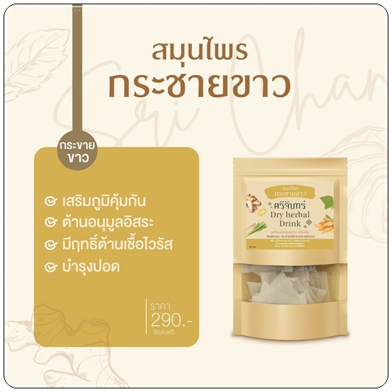 สมุนไพรกระชายขาว ศรีจันทร์ Dry Herbal Drink