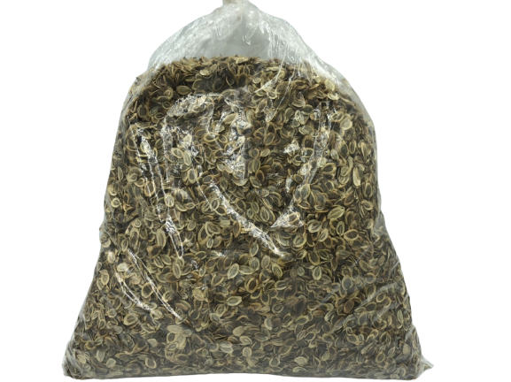 ขายมะแหลบแท้ 🌿 เครื่องเทศหายากภาคเหนือ 500g | เกรด A คุณภาพพรีเมียม ส่งทั่วไทย มะแหลบ เกรด A ขนาด 500 กรัม เทียนตั๊กแตน มะแหลบเครื่องเทศหายาก เครื่องเทศภาคเหนือ เมล็ดใช้เป็นเครื่องเทศแต่งกลิ่นอาหาร ชาวล้านนานำมาเป็นส่วนผสมของน้ำพริกลาบ