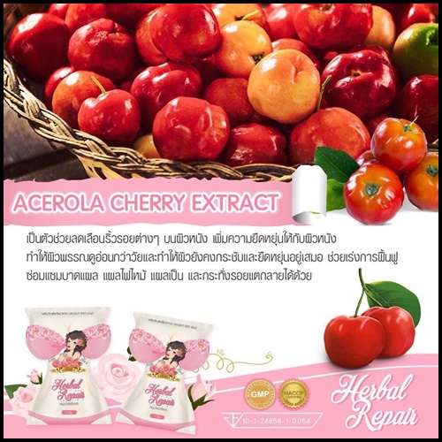 สมุนไพรรีแพร์ by บุษบา แพคเกจใหม่