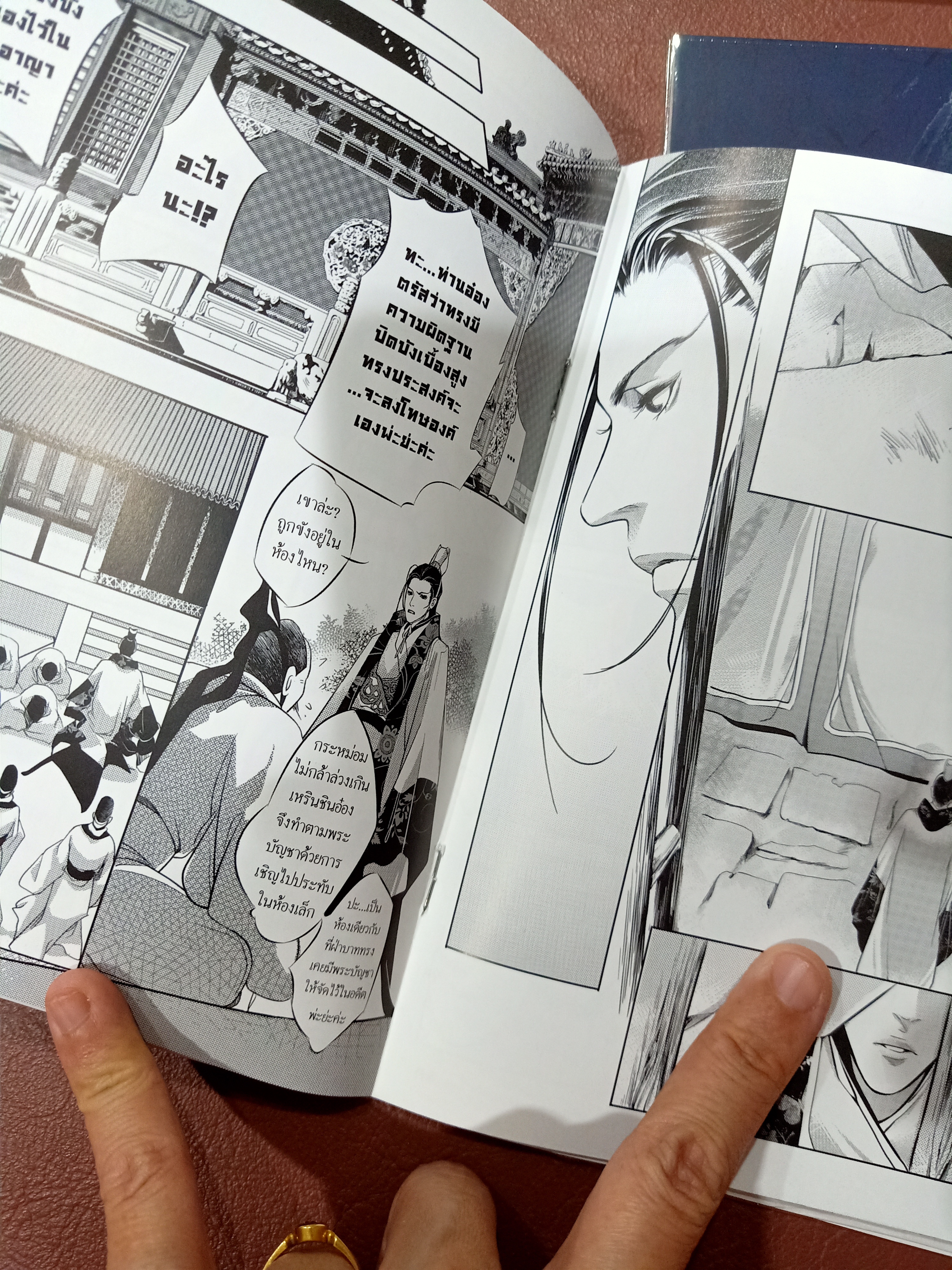 Boxset นิยายแปล รัชทายาท 5 เล่ม รอบจอง ฉบับรีปิ้น + การ์ตูน 3 เล่ม + เล่มพิเศษ + โดจิน