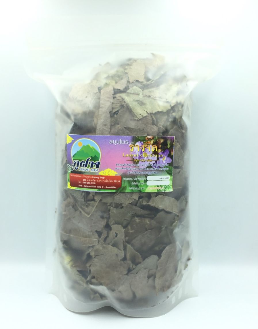รางจืด ใบรางจืดแห้ง ขนาด 100 กรัม Thunbergia laurifolia Lindl รางจืด ราชายาแก้พิษ สมุนไพรล้างพิษฤทธิ์เย็น