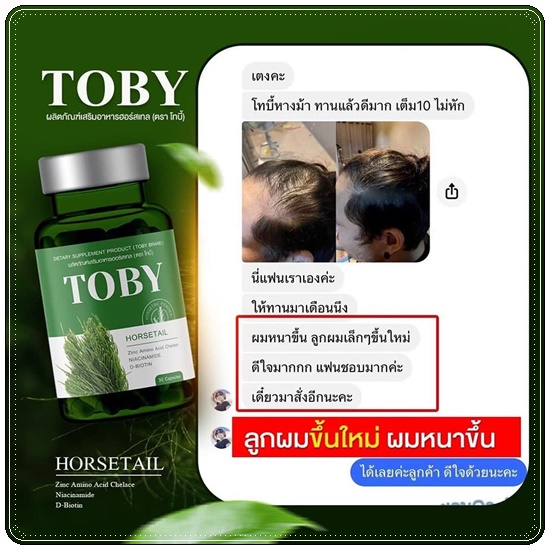 วิตามินลดผมร่วง เร่งผมยาว โทบี้ TOBY Horsetail