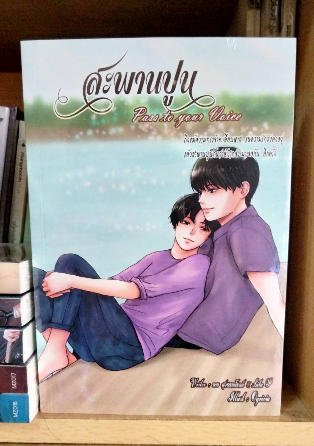 นิยายแต่ง สะพานปูน