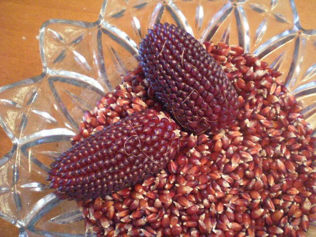 ข้าวโพดป๊อปคอร์นสตรอเบอรี่สีแดง - Red Strawberry Popcorn