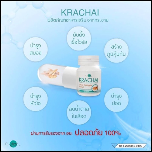 Krachai White Galingale ผลิตภัณฑ์อาหารเสริม จากกระชายขาว