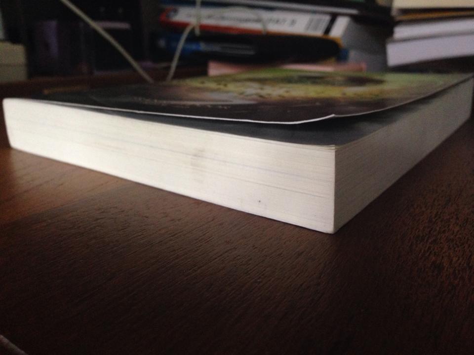 ผจญภัยในวันเดอร์แลนด์ ตอนสงครามข้ามมิติ The Looking Glass Wars/Frank Beddo