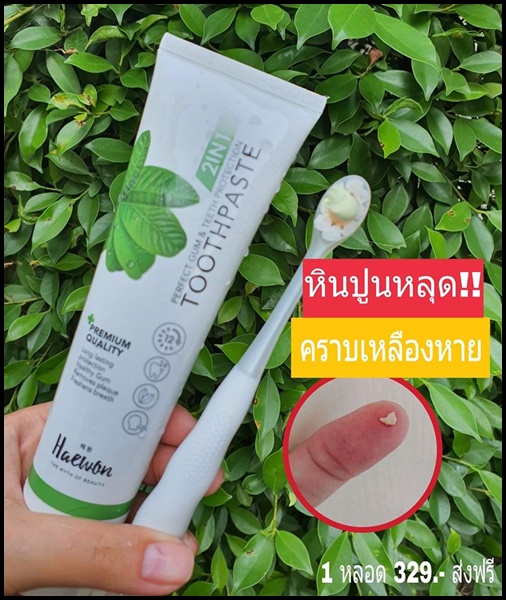 ยาสีฟันแฮวอน Haewon Toothpaste 2 in 1