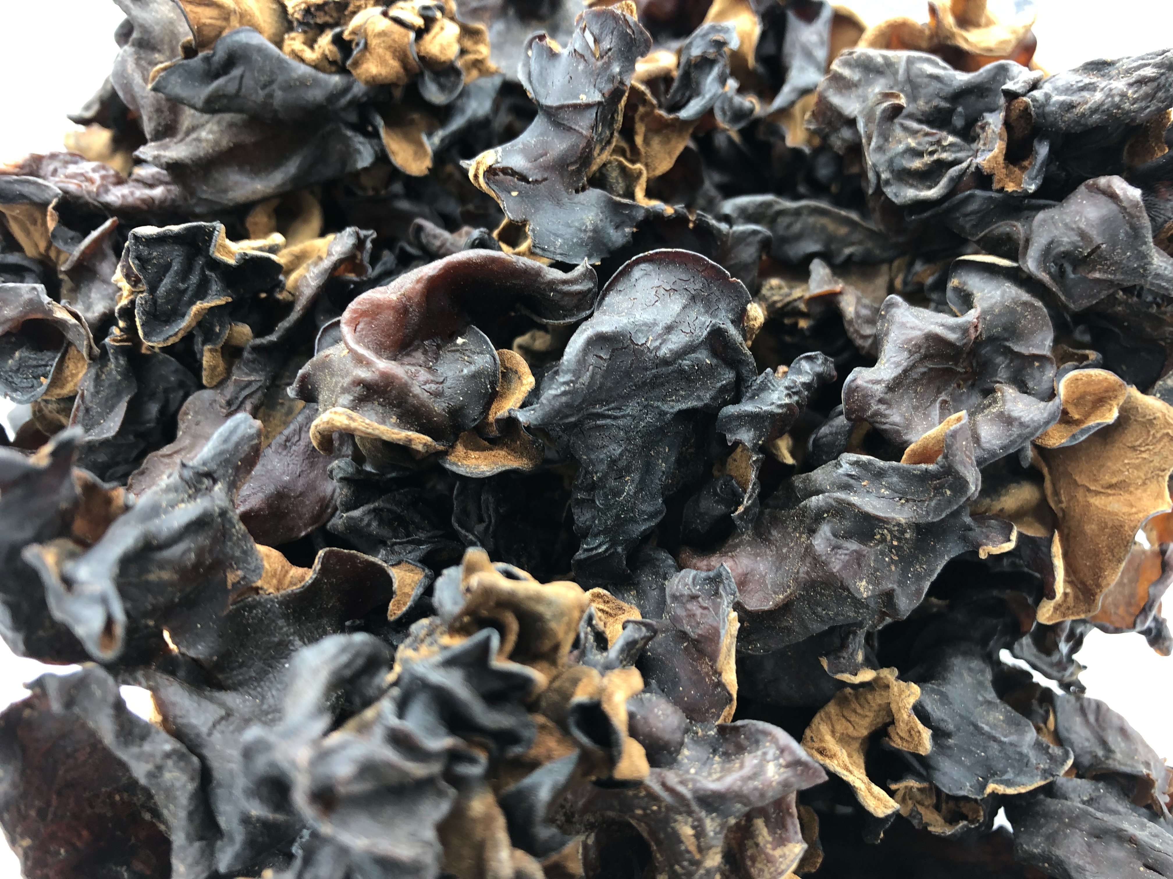 เห็ดหูหนูดำแห้ง ear mushroom ขนาด 500 กรัม เห็ดหูหนูดำ (ไทย) ครึ่งกิโลกรัม เห็ดหูหนูดำอบแห้ง เห็ดหูหนู เห็ดหูหนูดำ เห็ดหูหนูแห้ง ป็นเห็ดที่ได้รับพลังยินสะสม ทำให้ลดความร้อน หรือเกิดความเย็นแก่กระเพาะอาหารได้