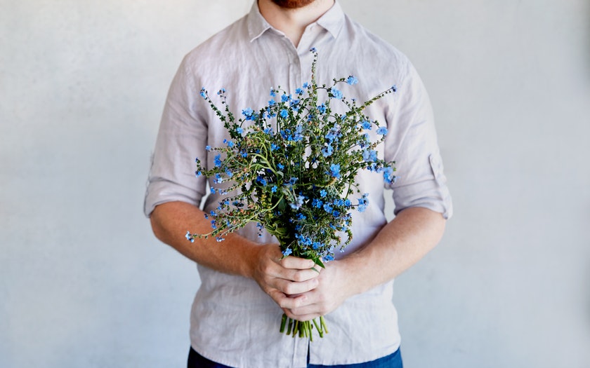 ฟอร์เก็ตมีน็อตจีน - Chinese Forget me not