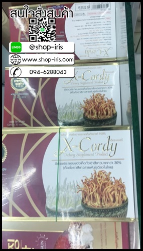 เอ็กซ์ คอร์ดี้ X-Cordy ผลิตภัณฑ์อาหารเสริมจาก ถั่งเช่าแท้ 100%