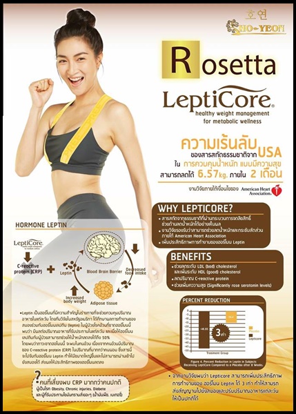 โรเซ็ตต้า Rosetta