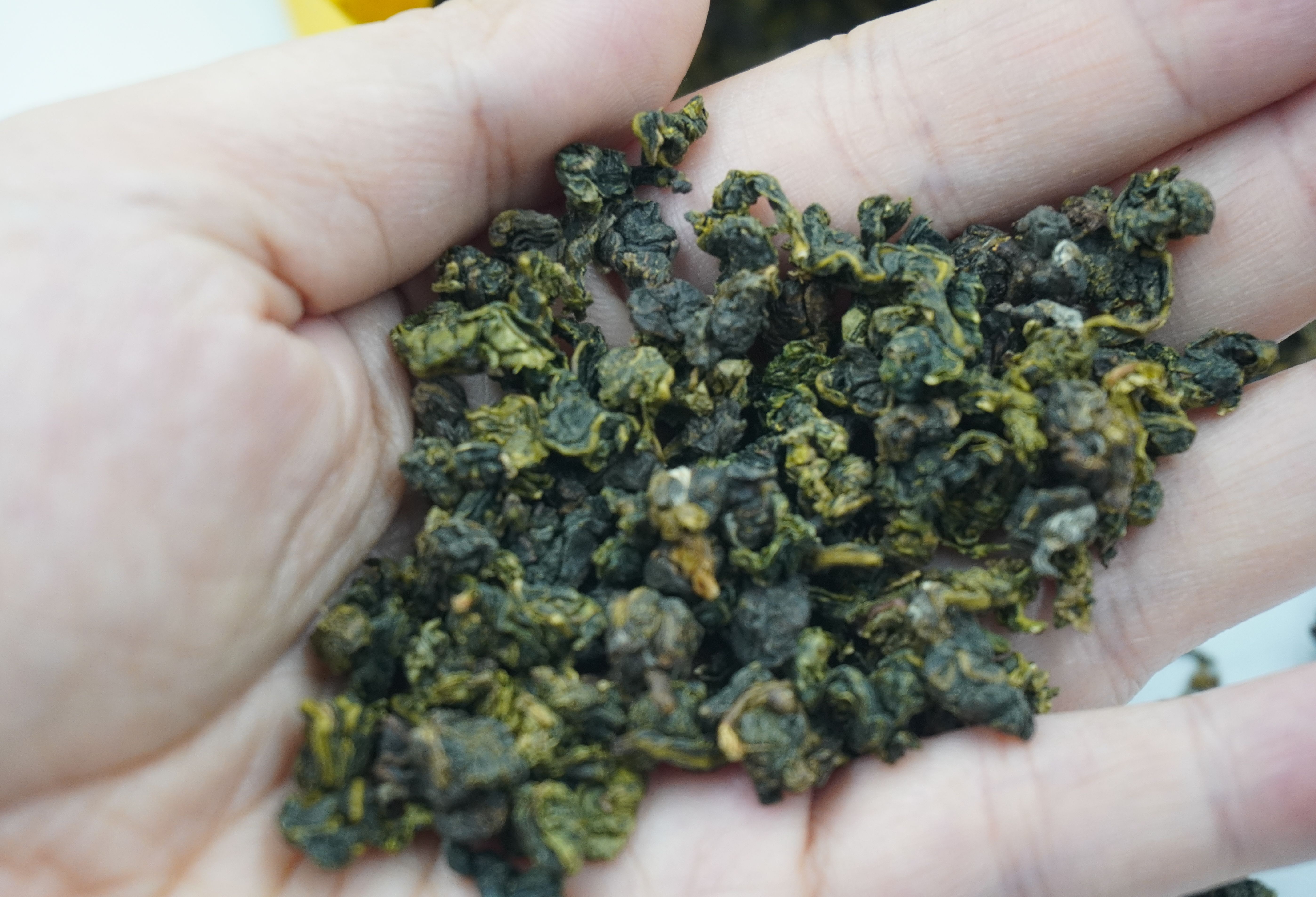 ชาทิกวนอิม ขนาด 500 กรัม ชาทิกวนอิม เกรด A พรีเมี่ยม เกรดดีที่สุด เป็นยอดชาที่ดีที่สุดในตระกูลชาอู่หลง ชาอู่หลงทิกวนอิม ทิกวนอิม Tie Guan Yin Tea คัดพิเศษเฉพาะยอดใบชา มีกลิ่นหอมคล้ายดอกไม้ ซึ่งเป็นกลิ่นธรรมชาติของใบชา น้ำชามีรสชาตินุ่ม ชุ่มคอ