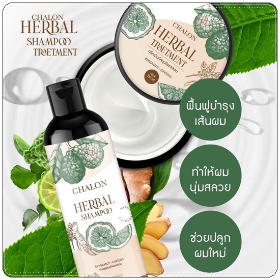 แชมพูมะกรูดชลอน Chalon Herbal Shampoo (แถมฟรี ทรีทเม้นชลอน)